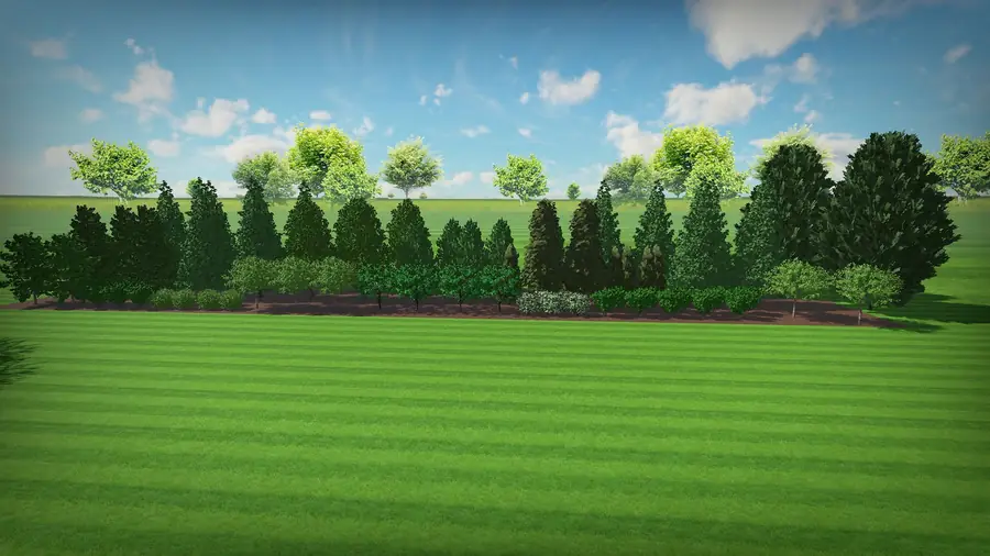 3D rendering of a windbreak tree planting across open farmland